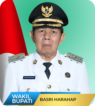 Wakil Bupati